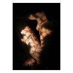 light-IMG_7828sm.jpg