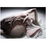 wrap-IMG_7403sm.jpg