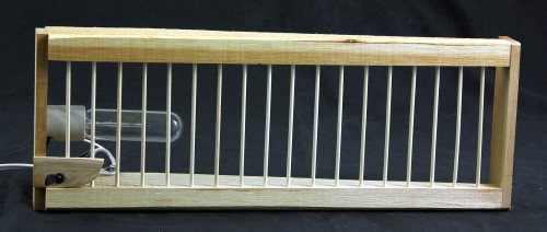 Caged lamp bare bulb with switch